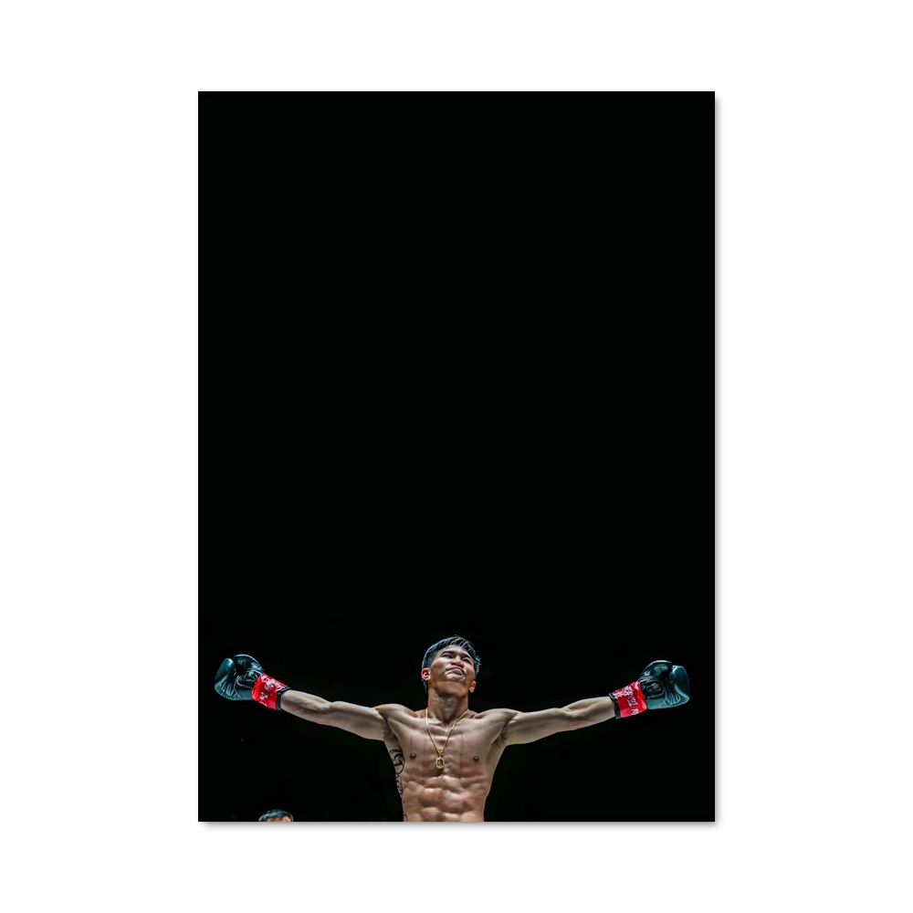 Poster Le Combat Élevé